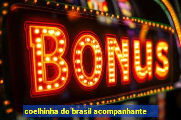 coelhinha do brasil acompanhante